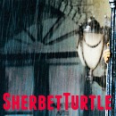 SherbetTurtle's Avatar