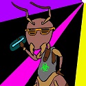 Rave Ant's Avatar